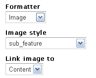 Choose image style format