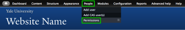 Configure Google CSE - permissions